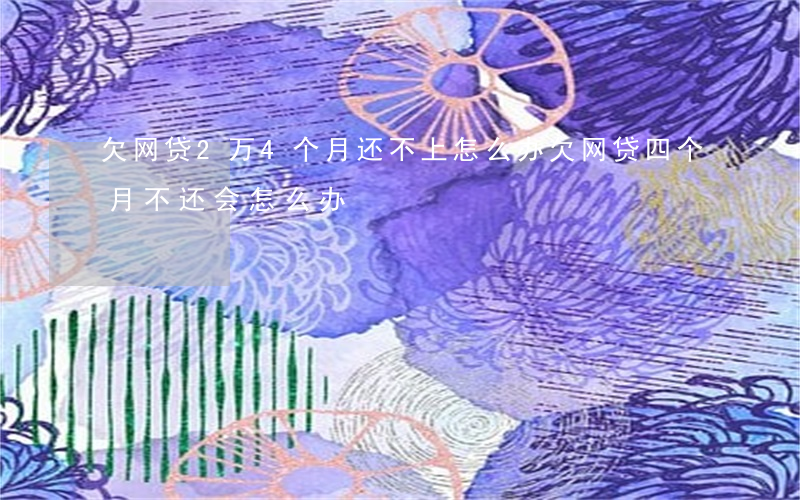欠网贷2万4个月还不上怎么办(欠网贷四个月不还会怎么办)