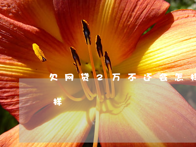欠网贷2万不还会怎样(网贷一两万不还会怎样)