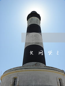 欠网贷2万会做牢吗(欠网贷一万多会坐牢吗)