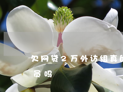 欠网贷2万外访组真的会来吗(网贷有外访人员吗)