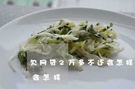 欠网贷2万多不还会怎样(欠网贷2万多不还会怎样)