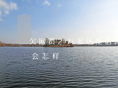 欠网贷2万多还能借网贷吗(网贷欠2万不还会怎样)