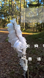 欠网贷2万每个月还3千怎么办(欠网贷2万,我该怎么办啊)