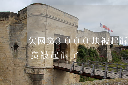 欠网贷3000块被起诉(欠2000块钱网贷被起诉了)