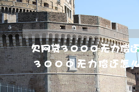 欠网贷3000无力偿还怎么处理-欠网贷3000无力偿还怎么处理呢