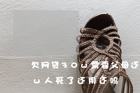 欠网贷30w需要父母还吗(爸爸欠网贷20w 人死了 还用还吗)