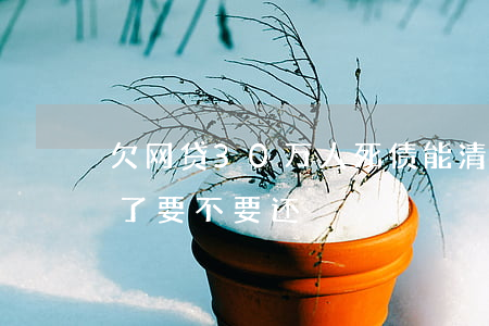 欠网贷30万人死债能清吗(欠网贷的钱人死了要不要还)
