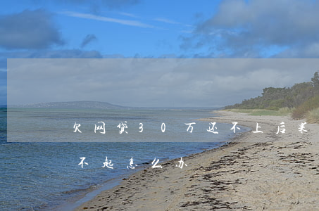 欠网贷30万还不上后果(网贷欠30多万还不起怎么办)