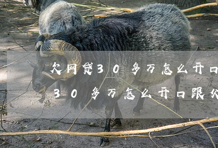 欠网贷30多万怎么开口跟父母说-欠网贷30多万怎么开口跟父母说呢