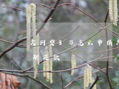 欠网贷3万怎么申请 欠网贷3万怎么申请延期还款