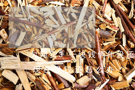 欠网贷3千块钱俩年没还了(欠了网贷3万块现在没钱还怎么办)