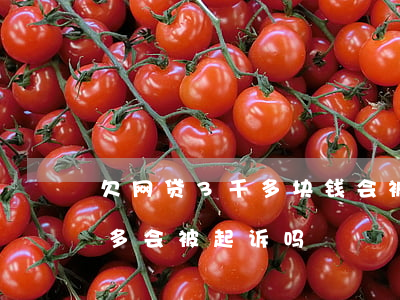 欠网贷3千多块钱会被起诉吗(网贷欠款三千多会被起诉吗)