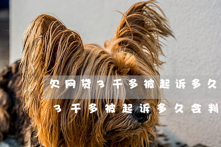 欠网贷3千多被起诉多久会判下来-欠网贷3千多被起诉多久会判下来呢