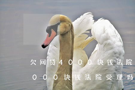 欠网贷4000块钱法院受理吗-欠网贷4000块钱法院受理吗是真的吗