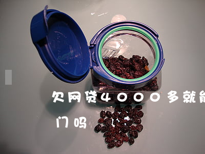 欠网贷4000多就能抓人吗(欠网贷会被上门吗)