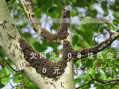 欠网贷400块钱会不会被起诉(网贷欠款500元会被起诉吗)