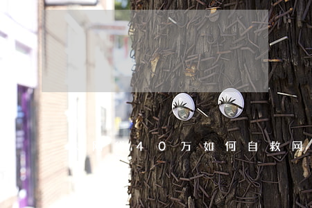 欠网贷40万如何自救(网贷欠40万自救方法)