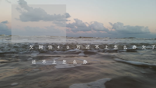 欠网贷40万还不上怎么办(欠了网贷几十万还不上怎么办)
