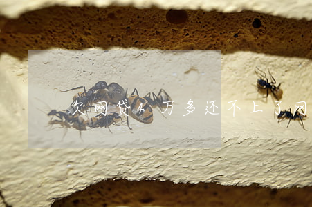 欠网贷4万多还不上了(网贷欠了四万)
