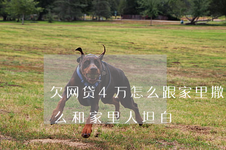 欠网贷4万怎么跟家里撒谎(网贷欠了4万怎么和家里人坦白)