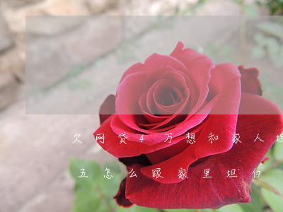 欠网贷4万想和家人坦白怎么说(欠网贷三万五怎么跟家里坦白)