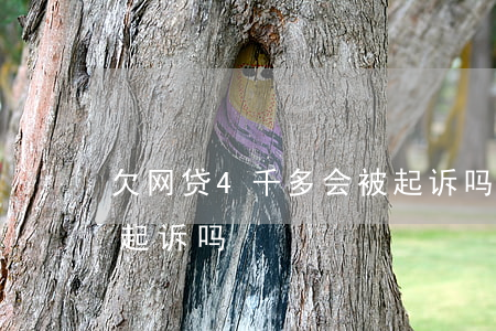 欠网贷4千多会被起诉吗(网贷欠4000会起诉吗)