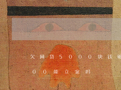 欠网贷5000块钱够立案吗(网贷欠款1500能立案吗)