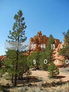 欠网贷5000起诉法院给受理吗-欠网贷5000起诉法院给受理吗是真的吗