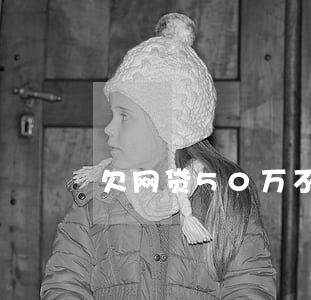 欠网贷50万不还会坐牢(网贷欠了50万)