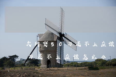 欠网贷50万还不上应该怎么办(欠网贷50万还不上应该怎么办)