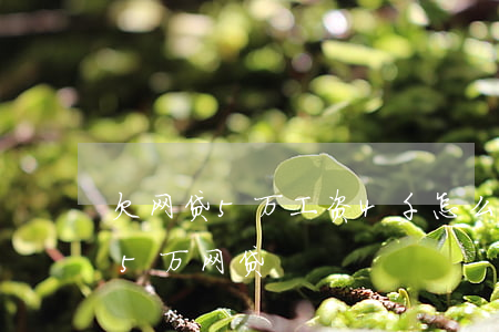 欠网贷5万工资4千怎么还(工资4000欠5万网贷)