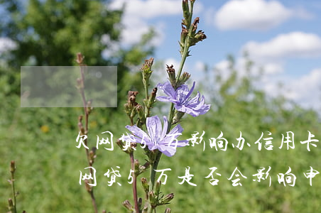欠网贷5万影响办信用卡吗知乎，【热点】欠网贷5万是否会影响申请信用卡？知乎用户分享经验与建议
