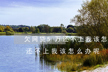 欠网贷5万还不上我该怎么办-欠网贷5万还不上我该怎么办呢