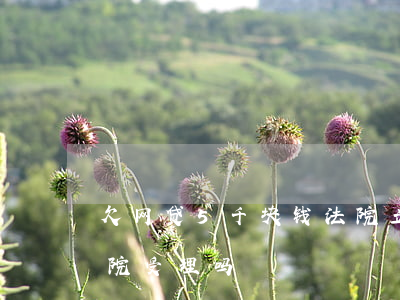 欠网贷5千块钱法院立案吗(欠网贷五千元法院受理吗)