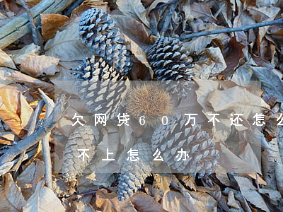 欠网贷60万不还怎么办(欠了五六万网贷还不上怎么办)