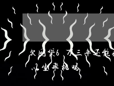 欠网贷6万三年还能买飞机票吗(欠网贷还可以坐飞机吗)