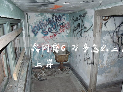 欠网贷6万多怎么上岸啊(网贷欠两万多怎么上岸)