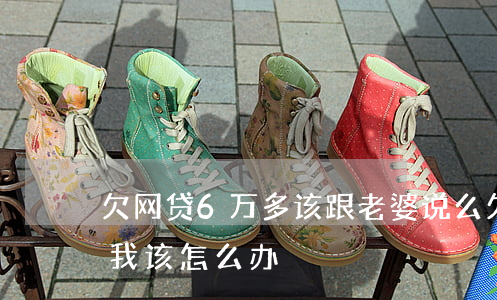 欠网贷6万多该跟老婆说么(欠了6万的网贷我该怎么办)