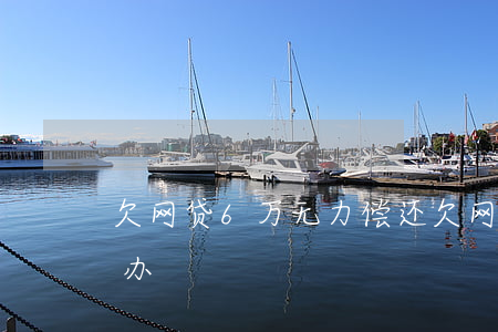 欠网贷6万无力偿还(欠网贷6万无力还怎么办)