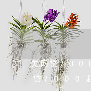 欠网贷7000起诉要多少才会被判-欠网贷7000起诉要多少才会被判刑