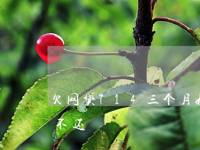欠网贷714三个月(好多人借714网贷都不还)