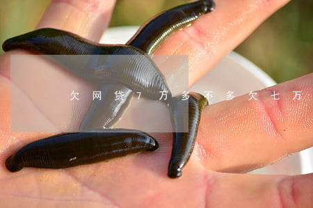 欠网贷7万多不多(欠七万多网贷怎么办)