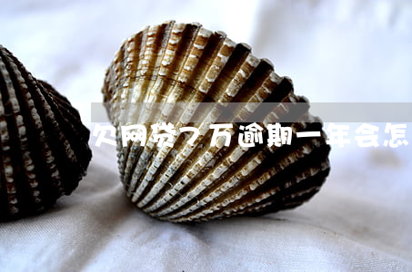欠网贷7万逾期一年会怎样(网贷逾期七年)