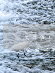 欠网贷7千多块会坐牢(网贷欠8000块钱会坐牢吗)