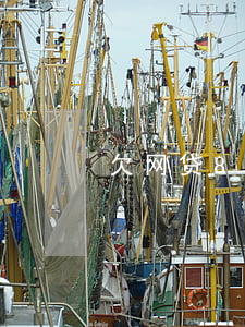 欠网贷80万判几年
