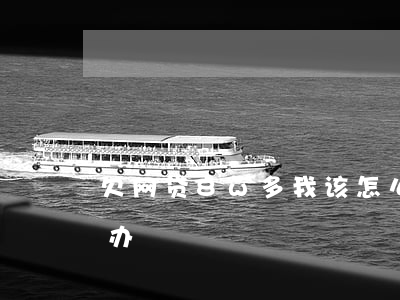 欠网贷8w多我该怎么办(欠七万多网贷怎么办)