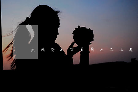 欠网贷8万目前还不上怎么办