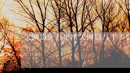 欠网贷9万坐牢(欠网贷八千多会坐牢吗)