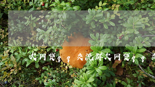 欠网贷qq交流群(欠网贷qq交流群)