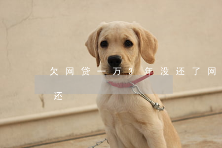 欠网贷一万3年没还了(网贷欠两千好几年没还)